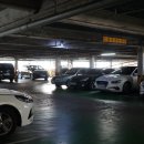 제주 서귀포 매일올레시장 오메기떡 사고 왔지요