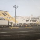 [Day 1] 제주 한달살이 시작(+골드스텔라호, 고집돌우럭 제주함덕점, 조천농협 로컬푸드하나로마트)