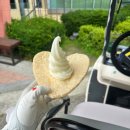 사계절푸른솔태권도 | 푸른솔포천GC 라운딩 후기｜생일이벤트 조식뷔페, 포천 맛집 골프장