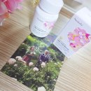 뉴인정 고급세탁소 | 💊 뉴벨라 리포좀 글루타치온 — 청담동 글루타치온으로 알려진 리얼 솔직 후기 ✨