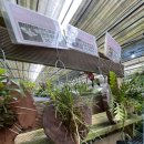 월드종합상사 | TVN 태풍상사 7,8회 리뷰및 포인트정리 이미선,강태풍 심쿵