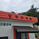 연대도달맞이 이미지