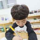 5월 21일 익충과 해충, 새노래 - 꿀벌의 여행, 곤충 채집하기월 21일 익충과 해충, 새노래 - 꿀벌의 여행, 곤충 채집하기 이미지