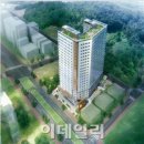 중앙건설 이데일리