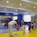 강서비룡태권도 이미지