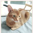 아이조아 요양보호소 서울점 이미지