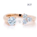 아도니스 이미지