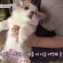 갯벌낙지수제비 이미지