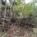 회수동-1 이미지