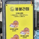 붕붕호두 이미지