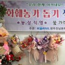 시나플라워
