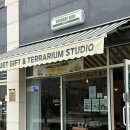 좋은날,여기 | 김포 테라리움 원데이클래스 좋은날여기 내돈내산 후기