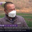 임화농장 이미지