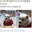 오(五)의 선율 <Emotion> | 맛있는걸 먹을 때와 여름의 바닷가에서는