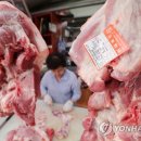 종합축산물도매센터 이미지