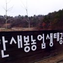 일곡동 원스푸드특화거리 네이버블로그