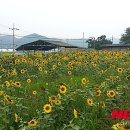 희망마을합천 이미지