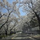 11650-17-95-8 | (골드cc) 3팀 부부 모임으로 다녀온 참피온 코스 라운딩 리얼 후기