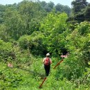 오사1리마을회관 이미지