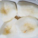 프리미어 농짱 이미지