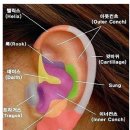 프리모약국 이미지