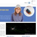 안터 이미지