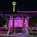 벽천공원(도시공원) | 부산 밤 데이트 갈만한곳 남포동 용두산공원 에스컬레이터 미디어아트