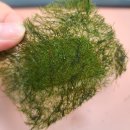 전통시장갯마을협동조합 이미지