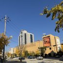 완산-111 | 이마트 와인장터 2025 하반기 현장후기,정보