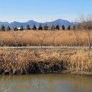 줄포만갯벌생태공원 이미지