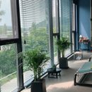 카페힐 - 동작구 만양로2길 16 | 카페힐