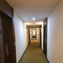프라자호텔 | 군산 리츠 프라자 호텔 후기(프라자 스위트)