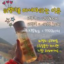 허벌라이프 리아코치 | 허벌라이프 허벌티 먹는 방법, 효과보는 법