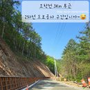 홍천도새울캠핑장 이미지
