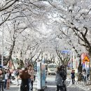 사단법인 제천문화예술위원회 이미지