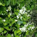 방장산 농장 이미지