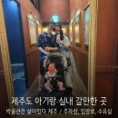 박물관은살아있다 | 더운 여름 제주도 아기랑 실내 가볼만한 곳, 박물관은 살아있다 후기 (36개월 미만 무료)