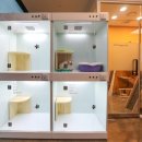 아이유동물메디컬센터 이미지