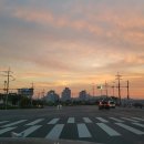 교항5리 Daum카페