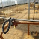 우가농장 이미지