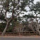 연우네민박 이미지