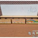 주산초병설유치원 이미지