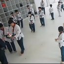 세종의 아침 태권도 이미지