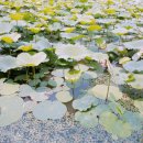 청도아리아펜션 이미지