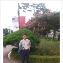 강남행정사합동사무소 이미지