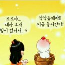 꼬꼬닭이네 이미지