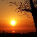 앵두펜션 이미지