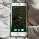 다이소 연경지구점 | ◡̈ 11월 ~ 12월 로그 (ft.굿바이 2025 👋🏻) 🎄