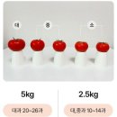 파주임진강꿀벌