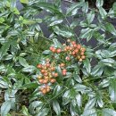 탁구 1반 이미지